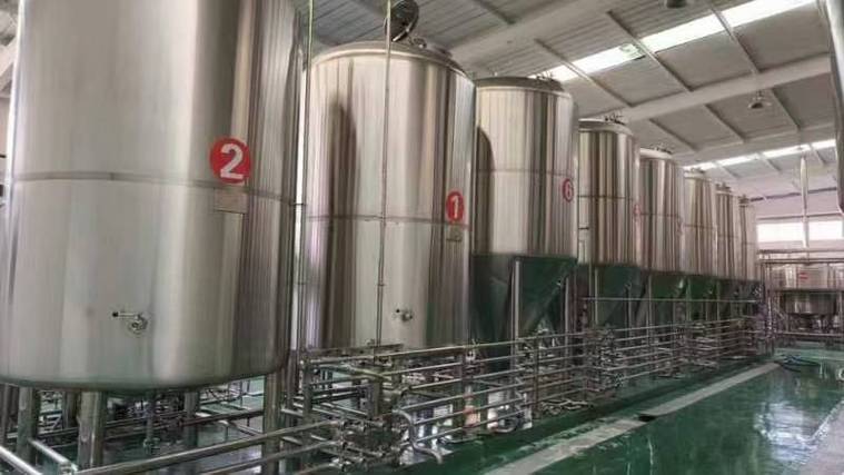毕节日产10吨精酿啤酒设备多少钱？2026年全套报价帮你算明白
